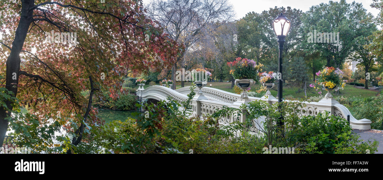 The Bow Bridge is a cast iron bridge located in Central Park, New York ...