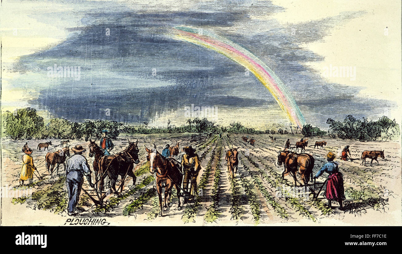 PLANTATION: PLOWING, 1867. /nField hands plowing on the Buena Vista cotton plantation in Clarke County, Alabama. Colored engraving, 1867. Stock Photo