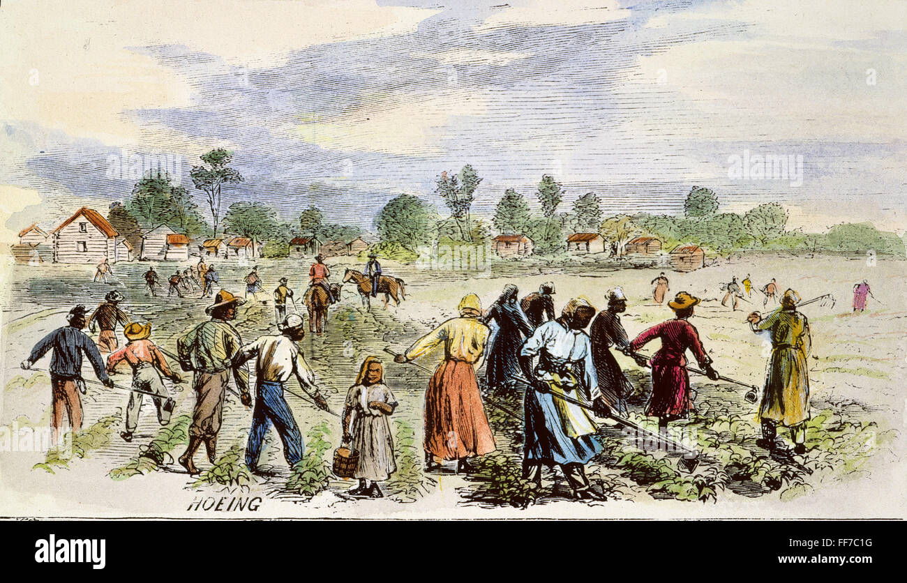 PLANTATION: HOEING, 1867. /nField hands hoeing on the Buena Vista cotton plantation in Clarke County, Alabama. Colored engraving, 1867. Stock Photo