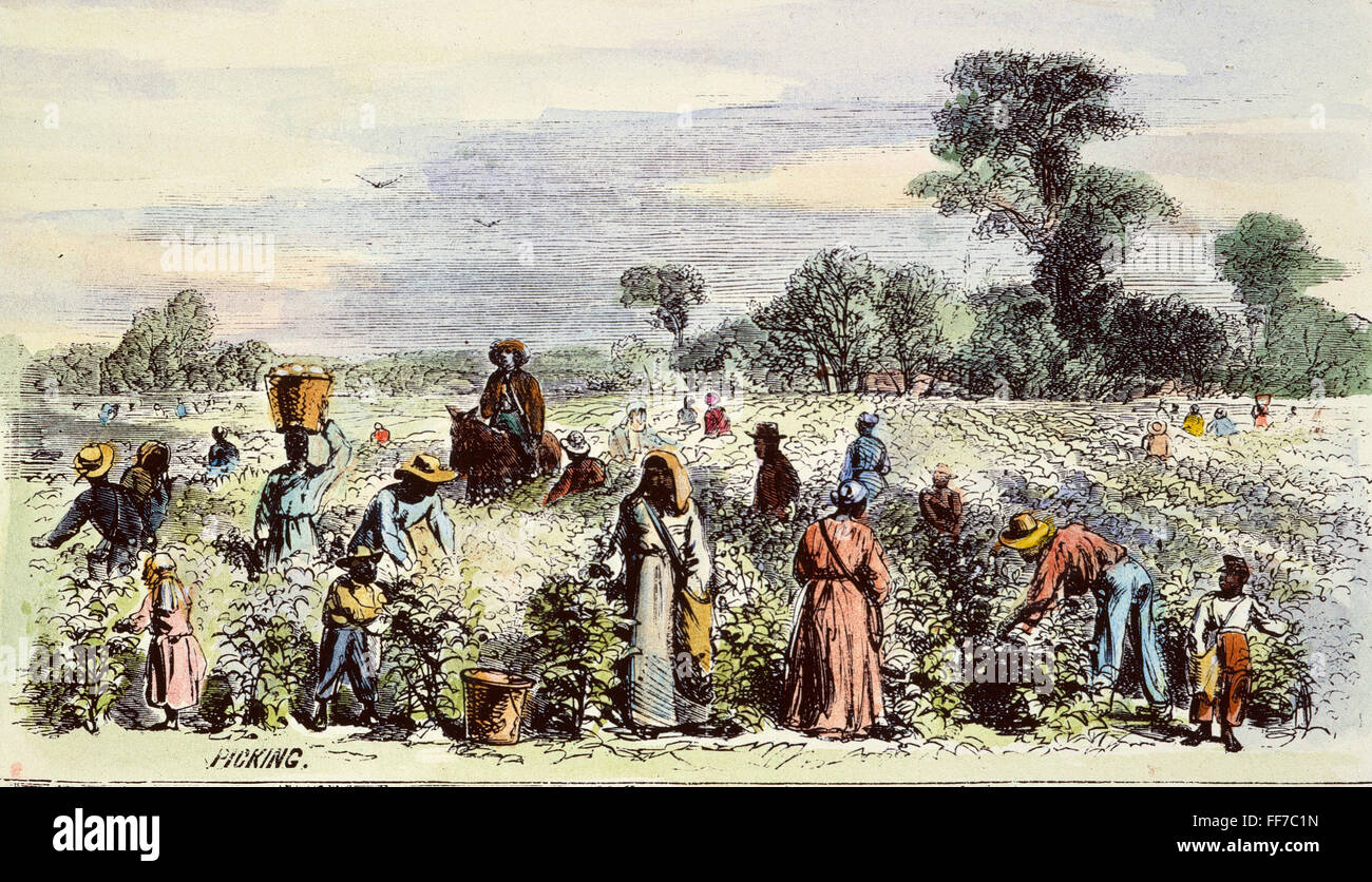 PICKING COTTON, 1867. /nField hands picking cotton on the Buena Vista cotton plantation in Clarke County, Alabama. Colored engraving, 1867. Stock Photo