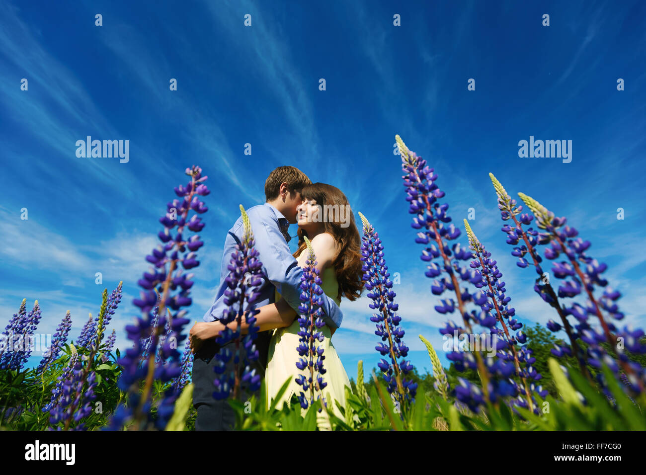 Couple in lupine flowers field embracing and smiling Stock Photo