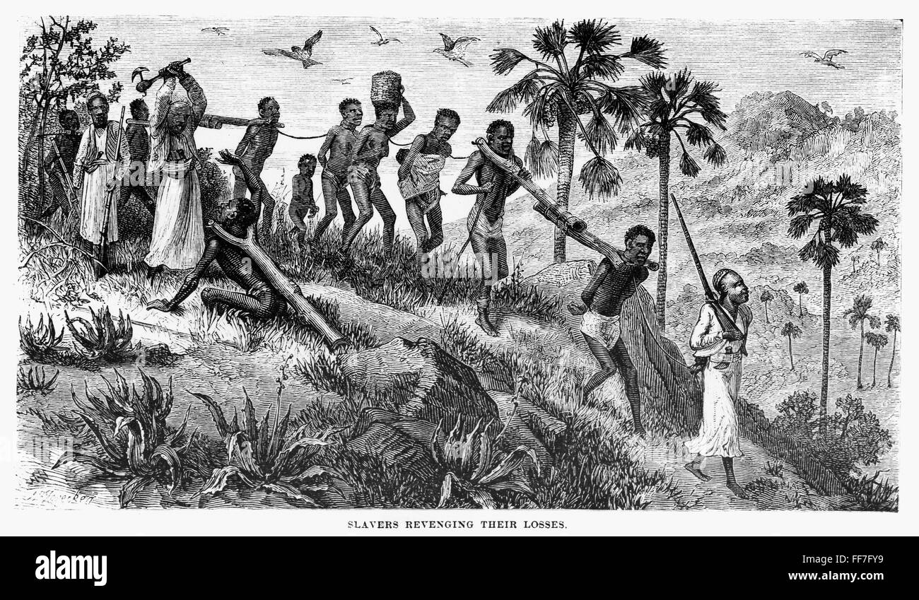 AFRICA: SLAVE TRADE. /nAn African slave gang marched from the Stock