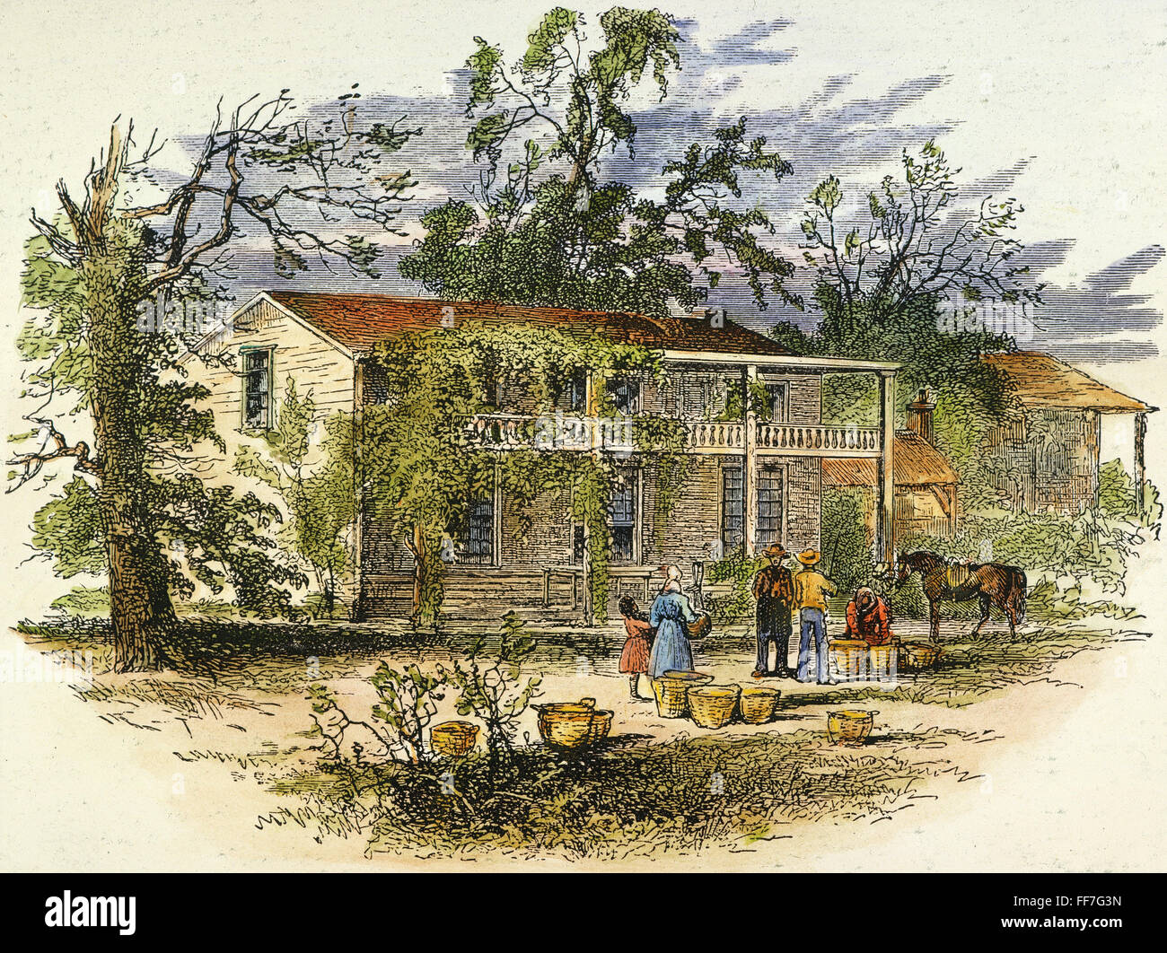 GEORGIA: PLANTATION. /nA planter's house in Georgia. Wood engraving, 19th century. Stock Photo