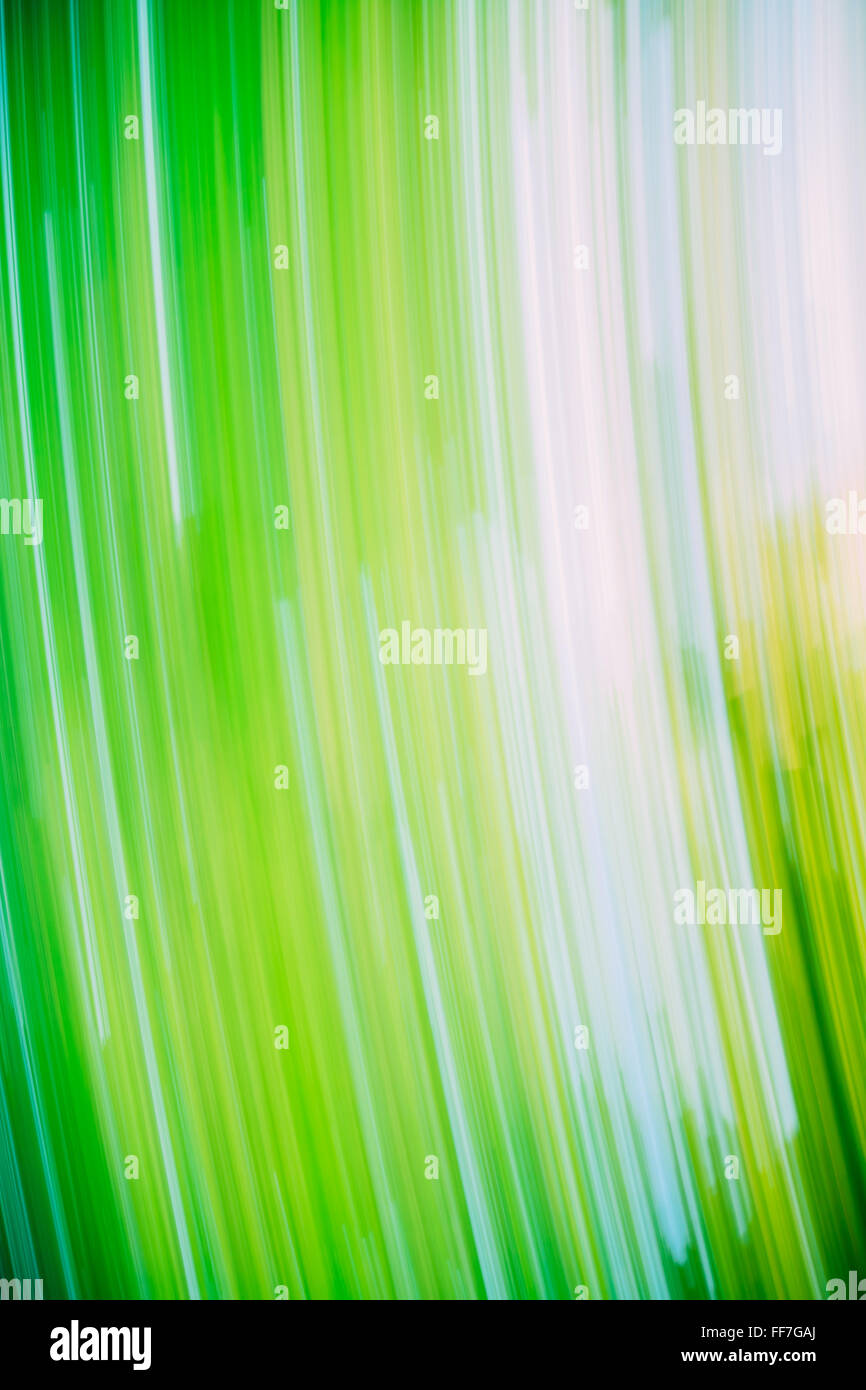 Light Abstract Natural Green Motions Background. Stock Photo