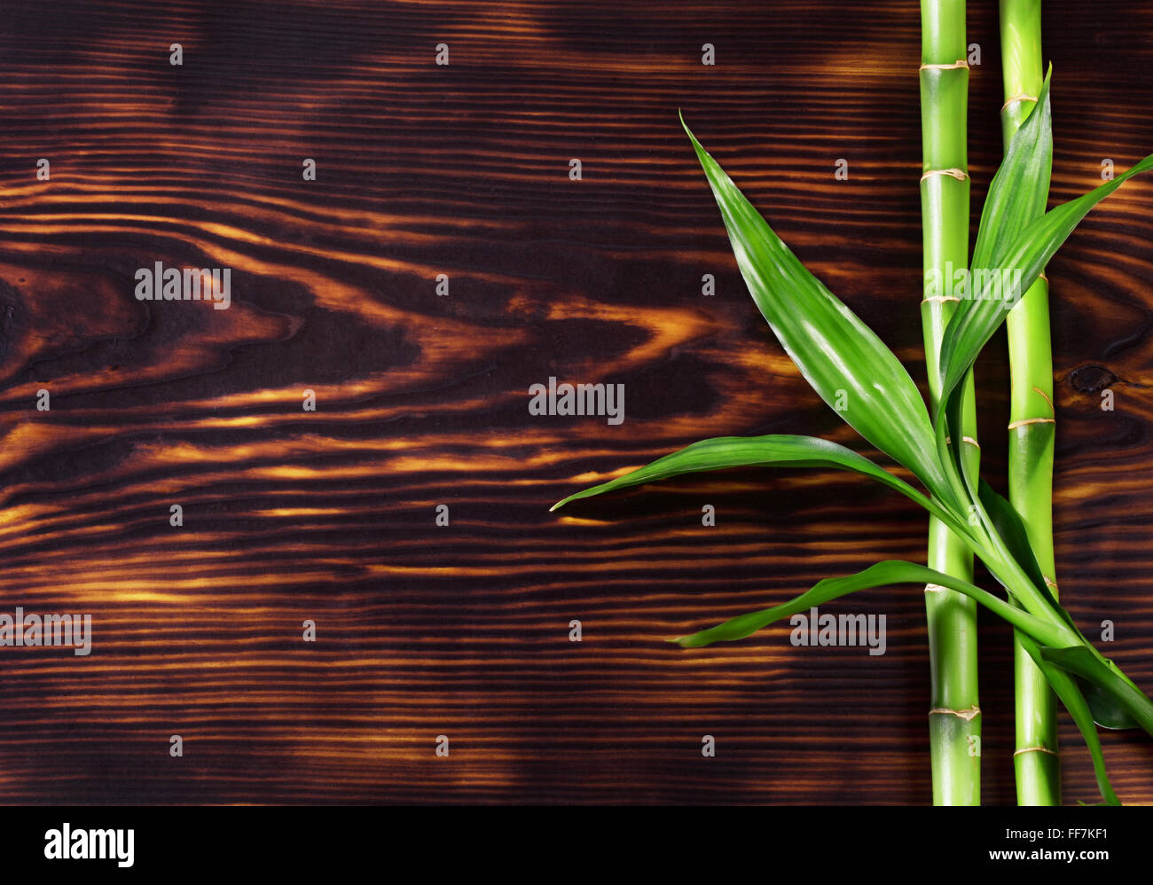 Fresh green bamboo on a wooden background Stock Photo