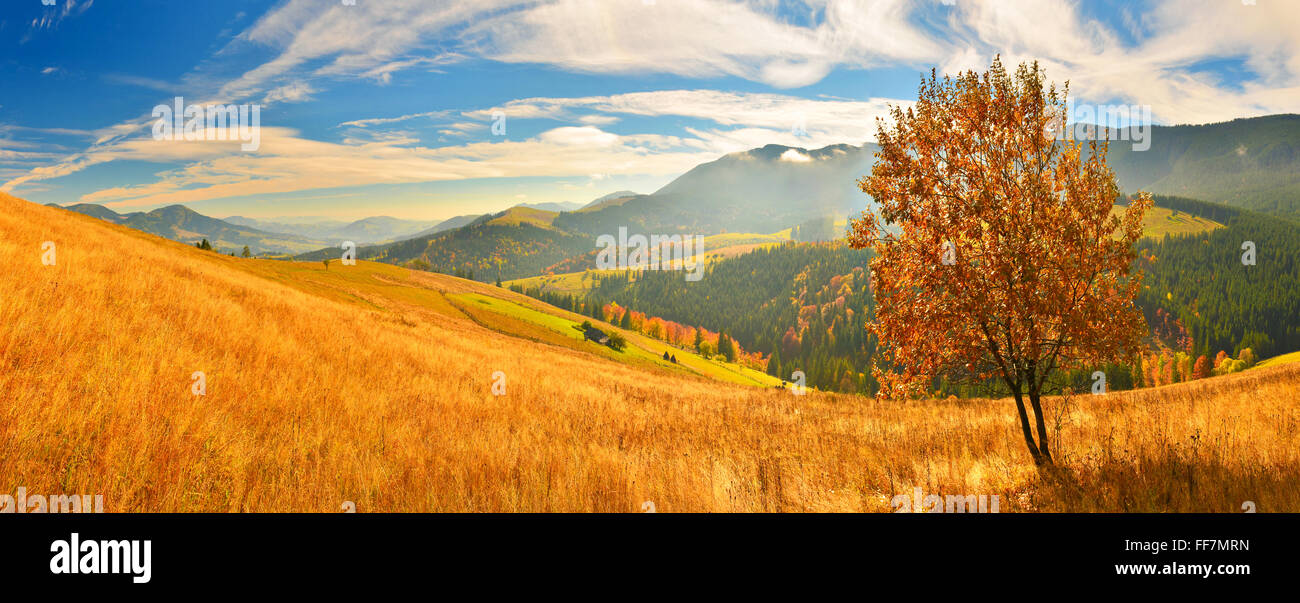 Indian weather hires stock photography and images Alamy