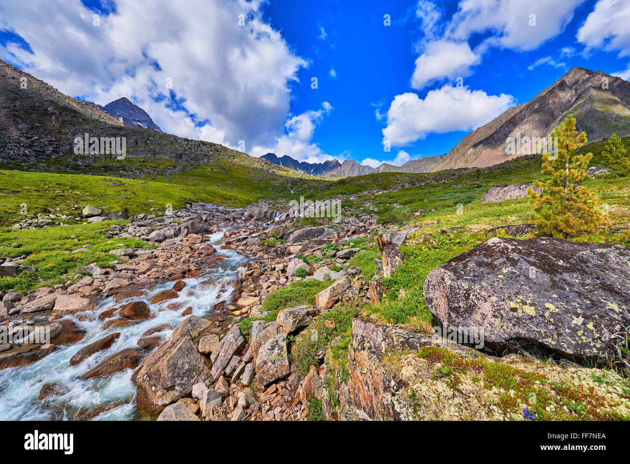 Mountain stream summer sunny day . Alpine Tundra . Eastern Sayan mountains . Buryatia Stock Photo