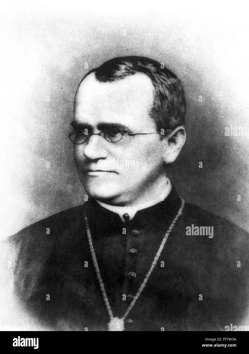 GREGOR JOHANN MENDEL/n(1822-1884). Austrian Augustinian monk and ...