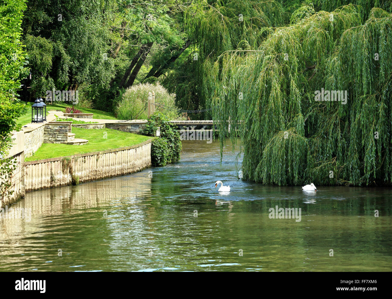 Wooden footbridge over a river with weeping willow trees Stock Photo