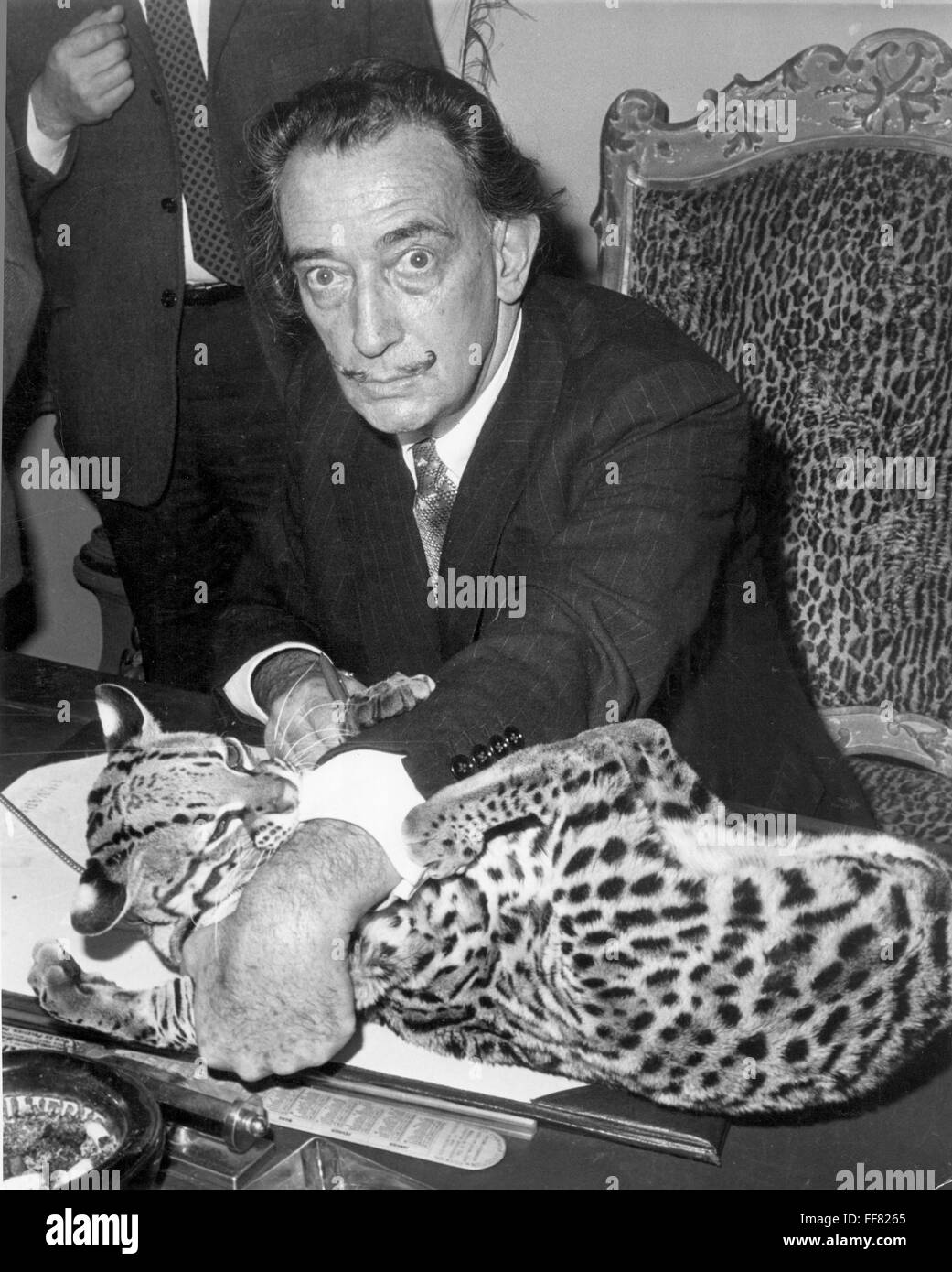 Dali ocelot cheap