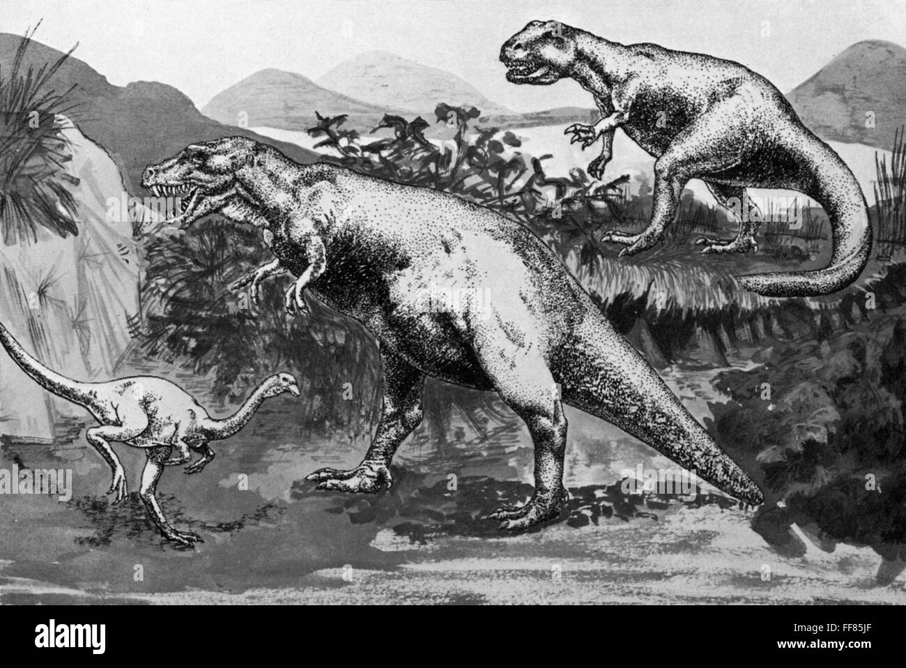 Животное дейнотерий. Гиракотерий эогиппус. Индрикотерии гиракодонтовые. Археоптерикс эра и период. Динотерий рисунок.