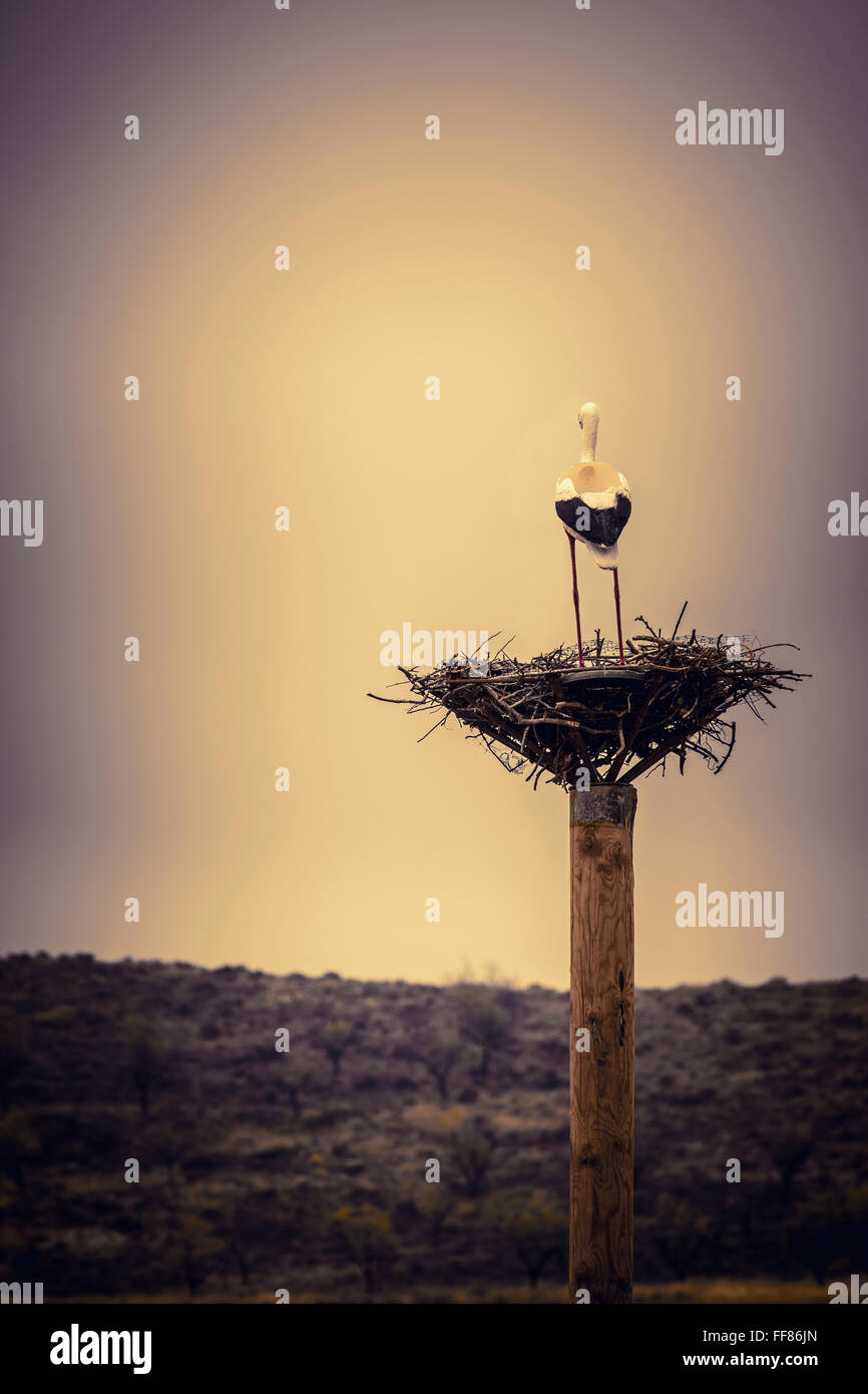 Artificial nesting places, Igea, La Rioja, Spain, Stock Photo