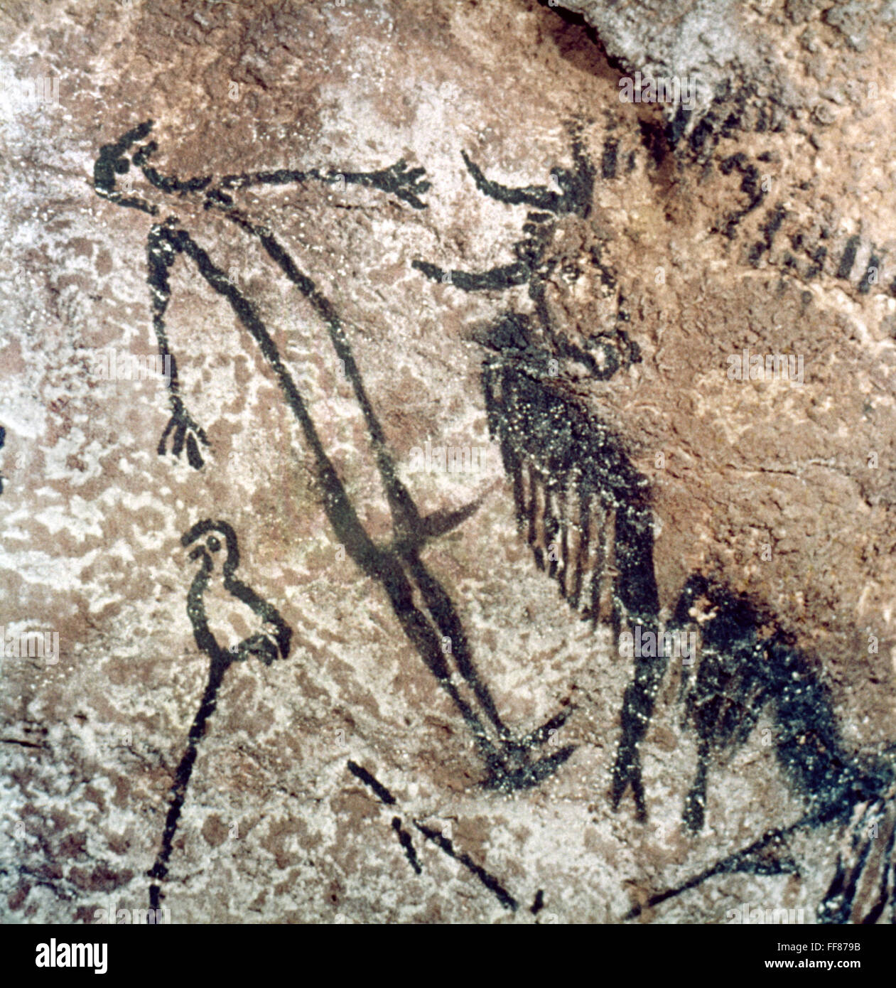 CAVE ART LASCAUX nWounded Bison And Bird headed Man From Lascaux 
