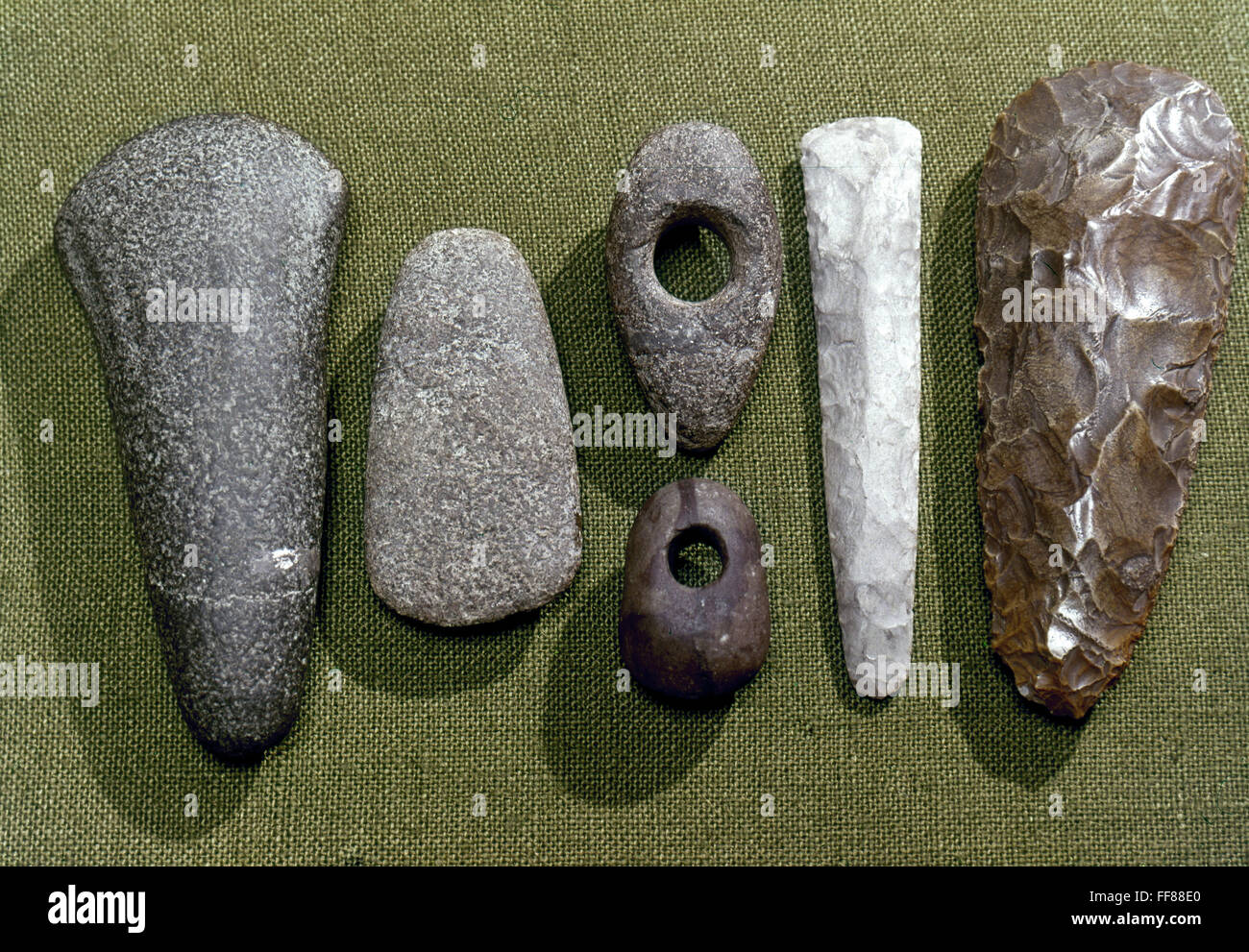NEOLITHIC TOOLS. /nNeolithic stone and flint tools found in Essex, England, c2700-1800 B.C. Stock Photo