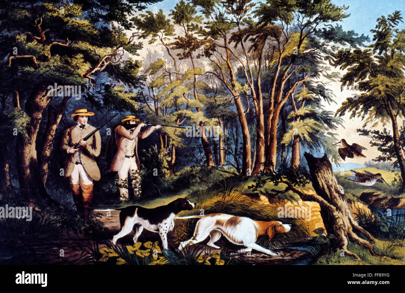 HUNTING WOODCOCK, 1852. /nWoodcock Shooting. Lithograph, 1852, by