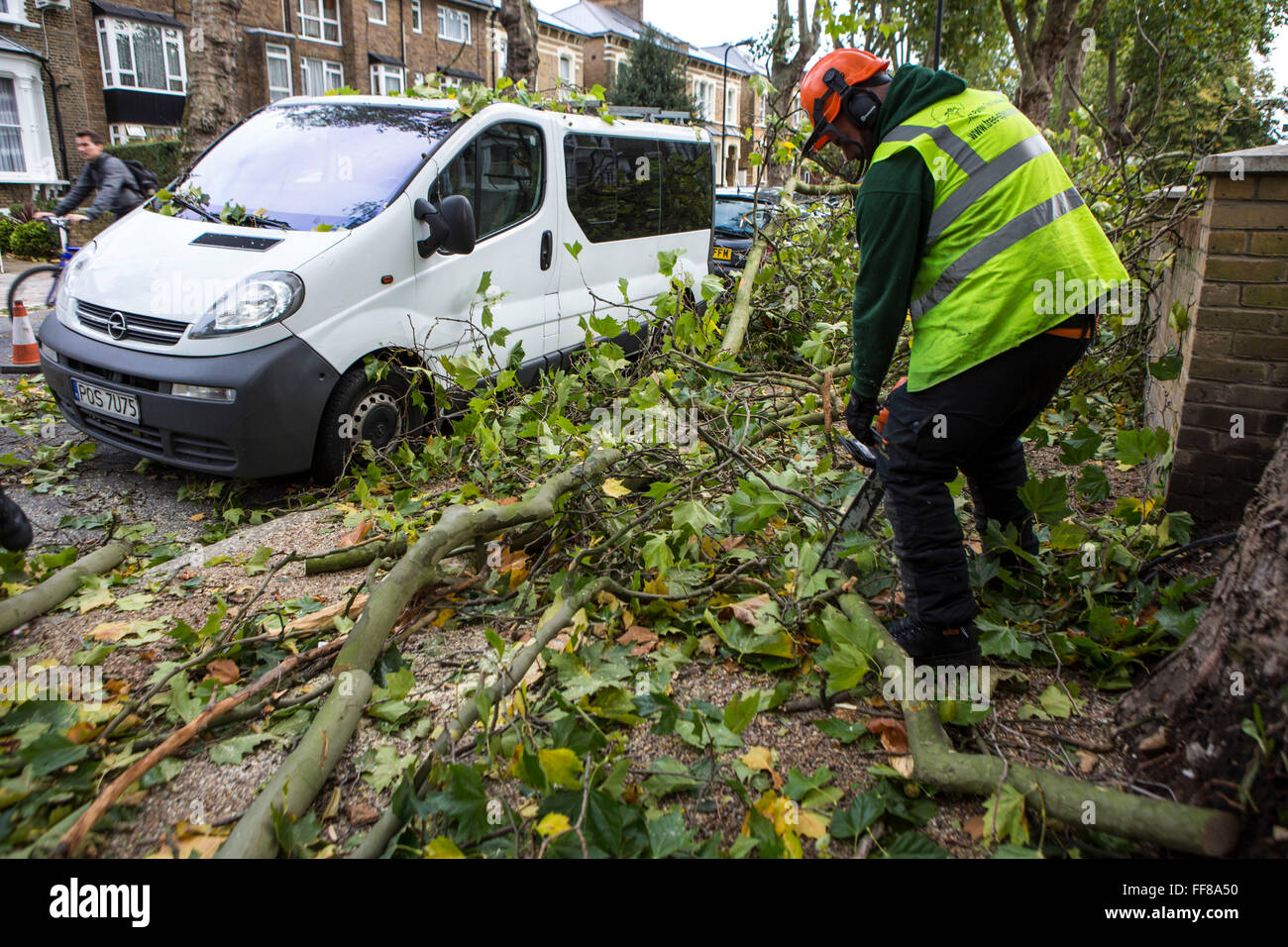 Cutting Tree Roots High Resolution Stock Photography and Images Alamy