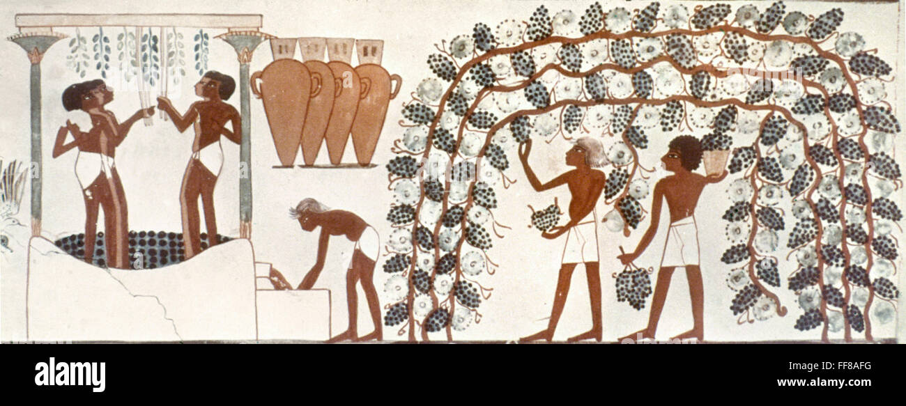 EGYPT GRAPE PRESSING. /nEgyptian tomb painting of the gathering and pressing of grapes. 18th