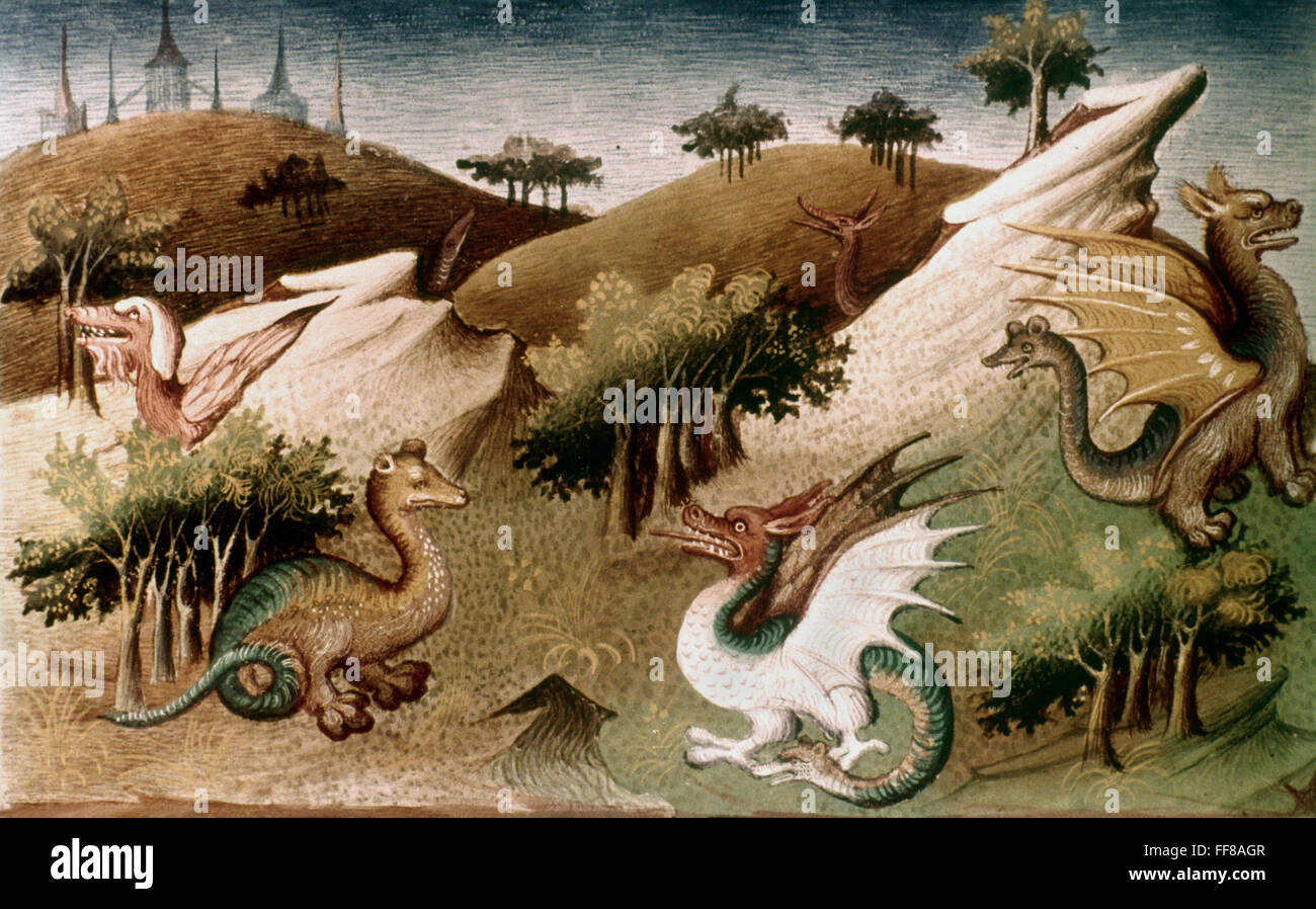 MARCO POLO (1254-1324). /nFabulous dragons of Yunan, China. Miniature, early 15th century, from the 'Livre de Merveilles.' Stock Photo