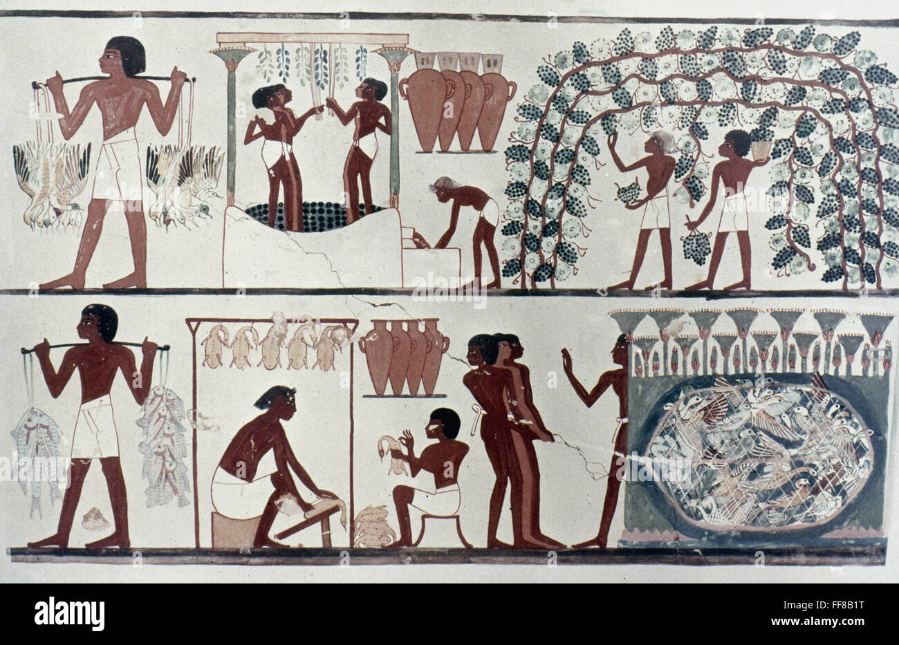 Египтянин земледелец в древности. Главными занятиями египтян были. Занятия древних египтян. Фрески гробницы нахта. Занятия в древнем египте.