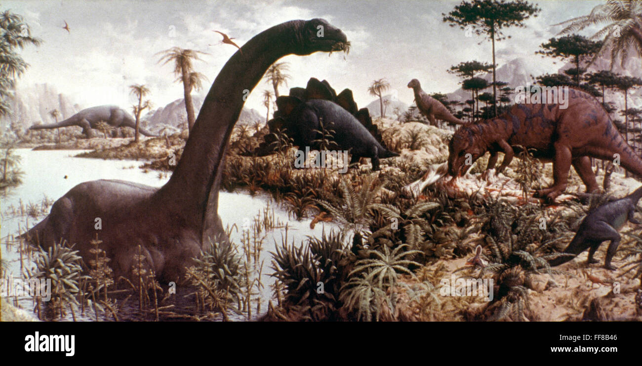 JURASSIC SWAMP. /nReconstruction showing Brontosaurus, Stegosaurus, Rhamphorhyncus and other reptiles. Stock Photo
