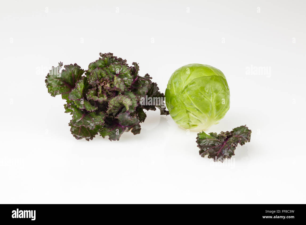 One red Flower Sprout and one Brussels Sprout Stock Photo