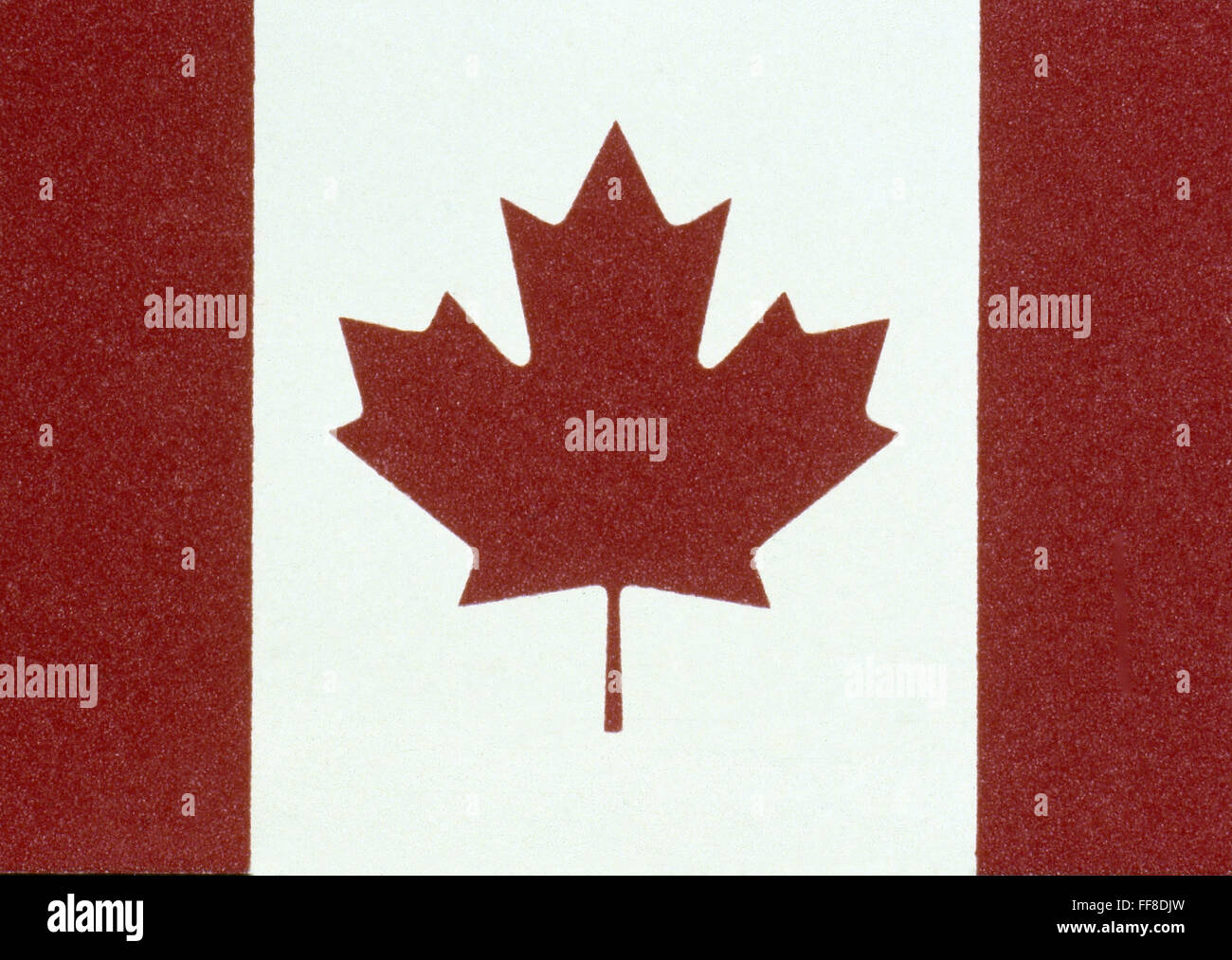 FLAG OF CANADA SINCE 1965. Stock Photo