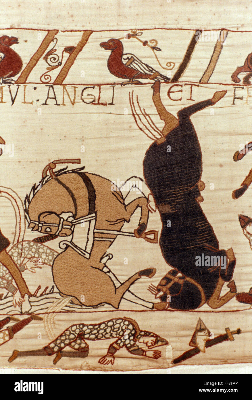 BAYEUX TAPESTRY. /nNorman cavalry horses fall slain at the Battle of