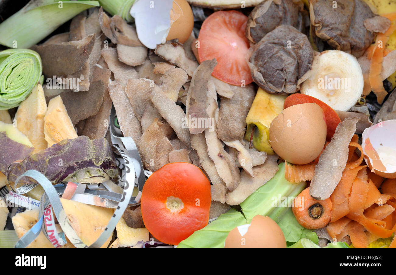 Mixture of composting and worm farm materials with fruit, vegetable kitchen raw food waste with