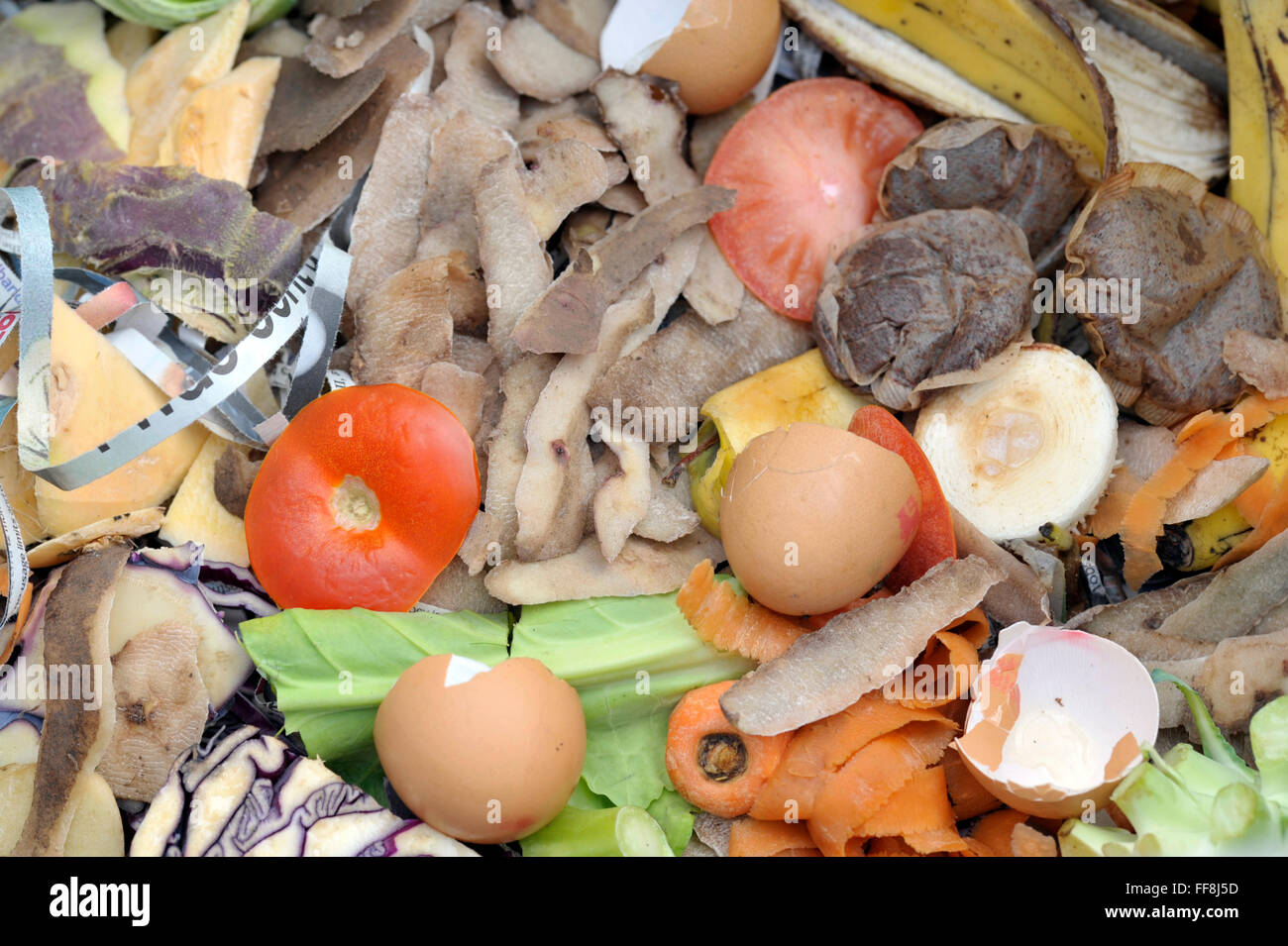Mixture of composting and worm farm materials with fruit, vegetable kitchen raw food waste with