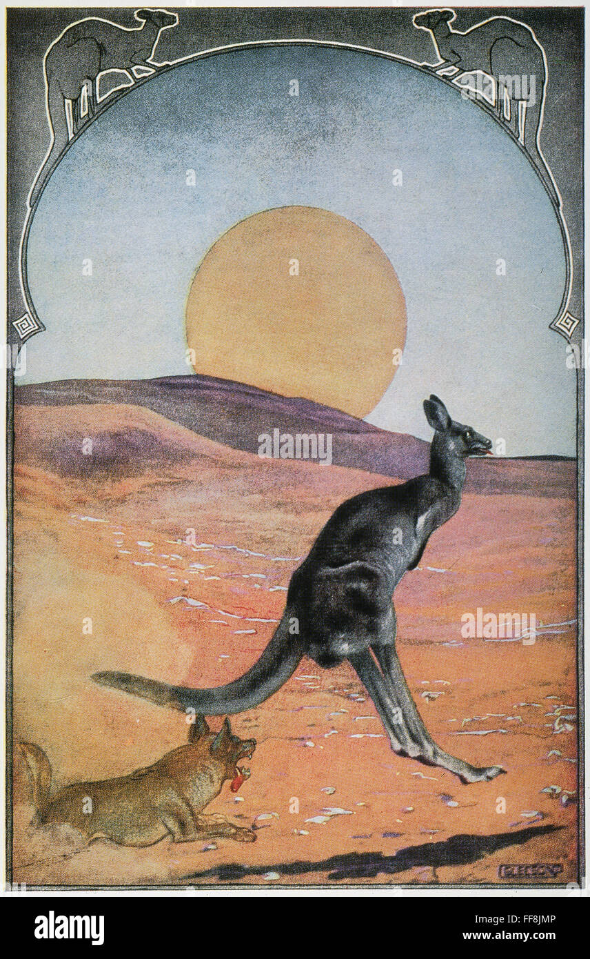 Kipling Just So Stories Nthe Sing Song Of Old Man Kangaroo Illustration By Joseph Michael 1644