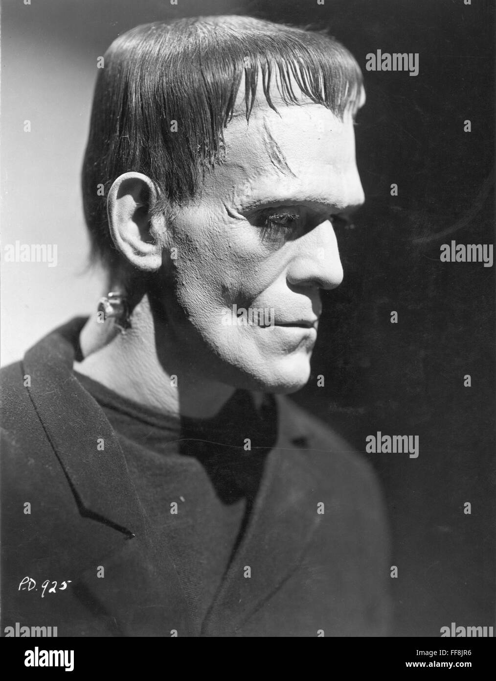 BORIS KARLOFF (18871969). /nAs the monster in Frankenstein, 1931 Stock