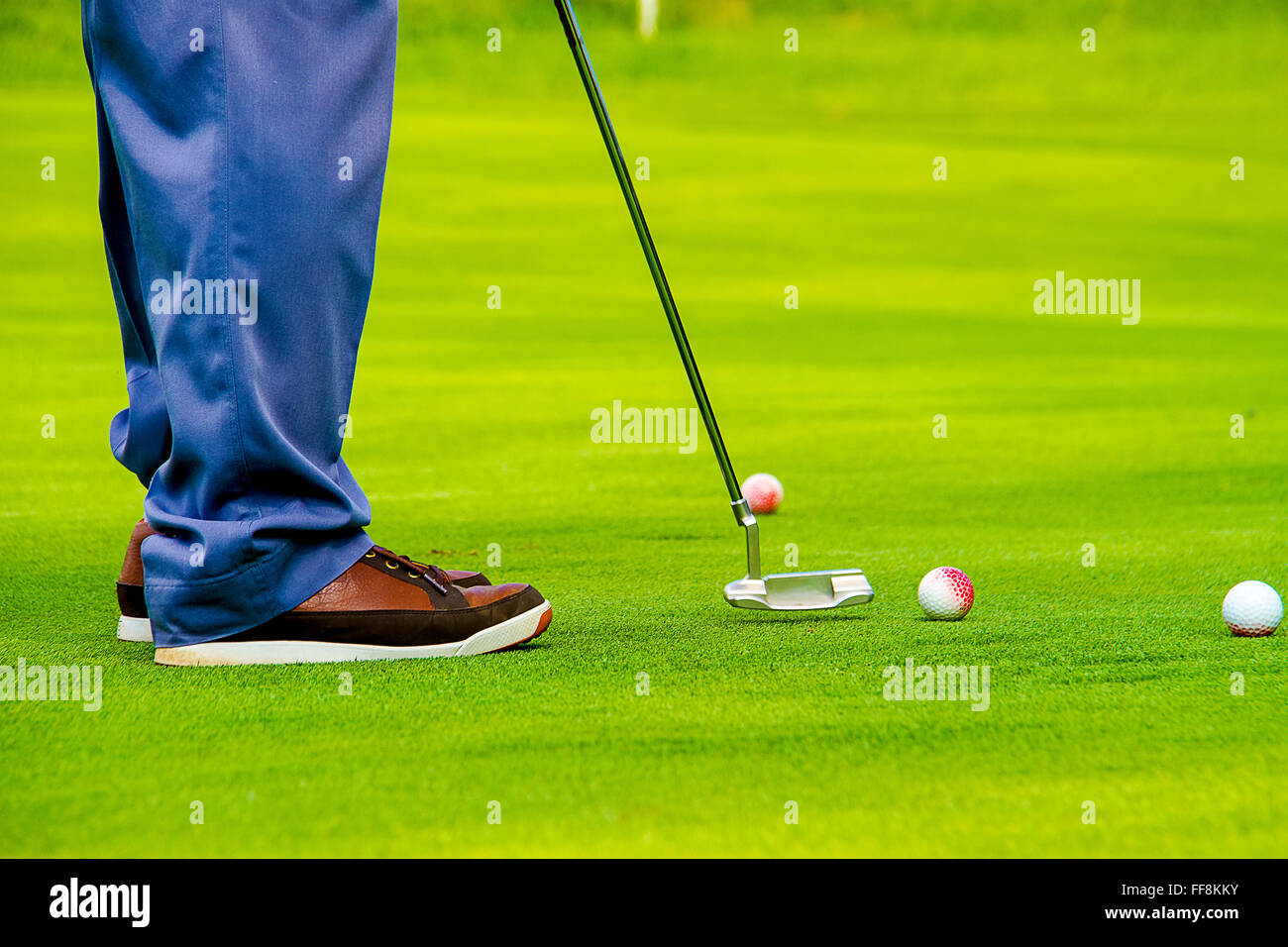 the winner : close up of man playing golf and putting ball with metal club on golf field ,Playing golf. Golf club and ball. Prep Stock Photo