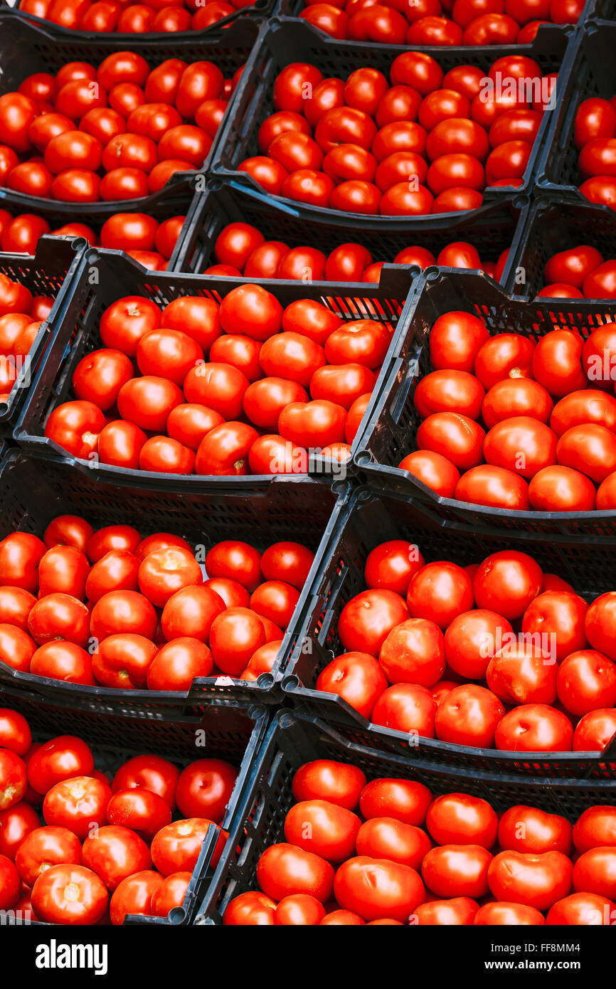 Fresh ripe red tomatoes are in the boxes in market Stock Photo - Alamy