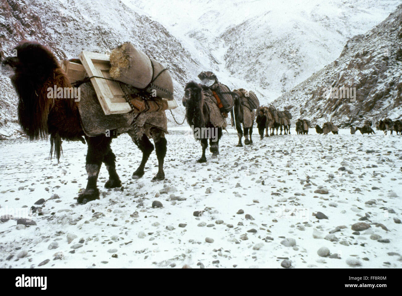 AFGHANISTAN: CARAVAN. /nCamel caravan on an old Han Dynasty silk trade route through the Pamir Mountains. Stock Photo