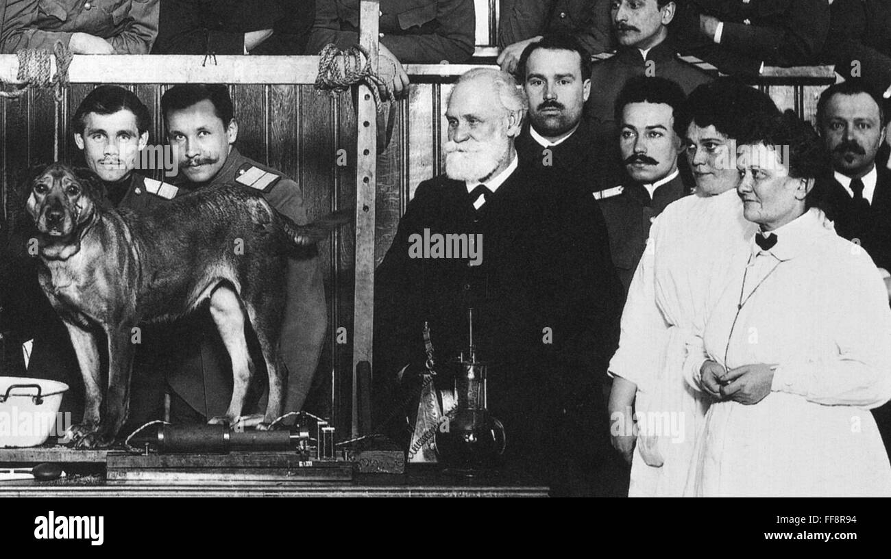 IVAN PETROVICH PAVLOV /n(1849 1936) Russian physiologist Pavlov IVAN PETROVICH PAVLOV /n(1849 1936) Russian physiologist Pavlov