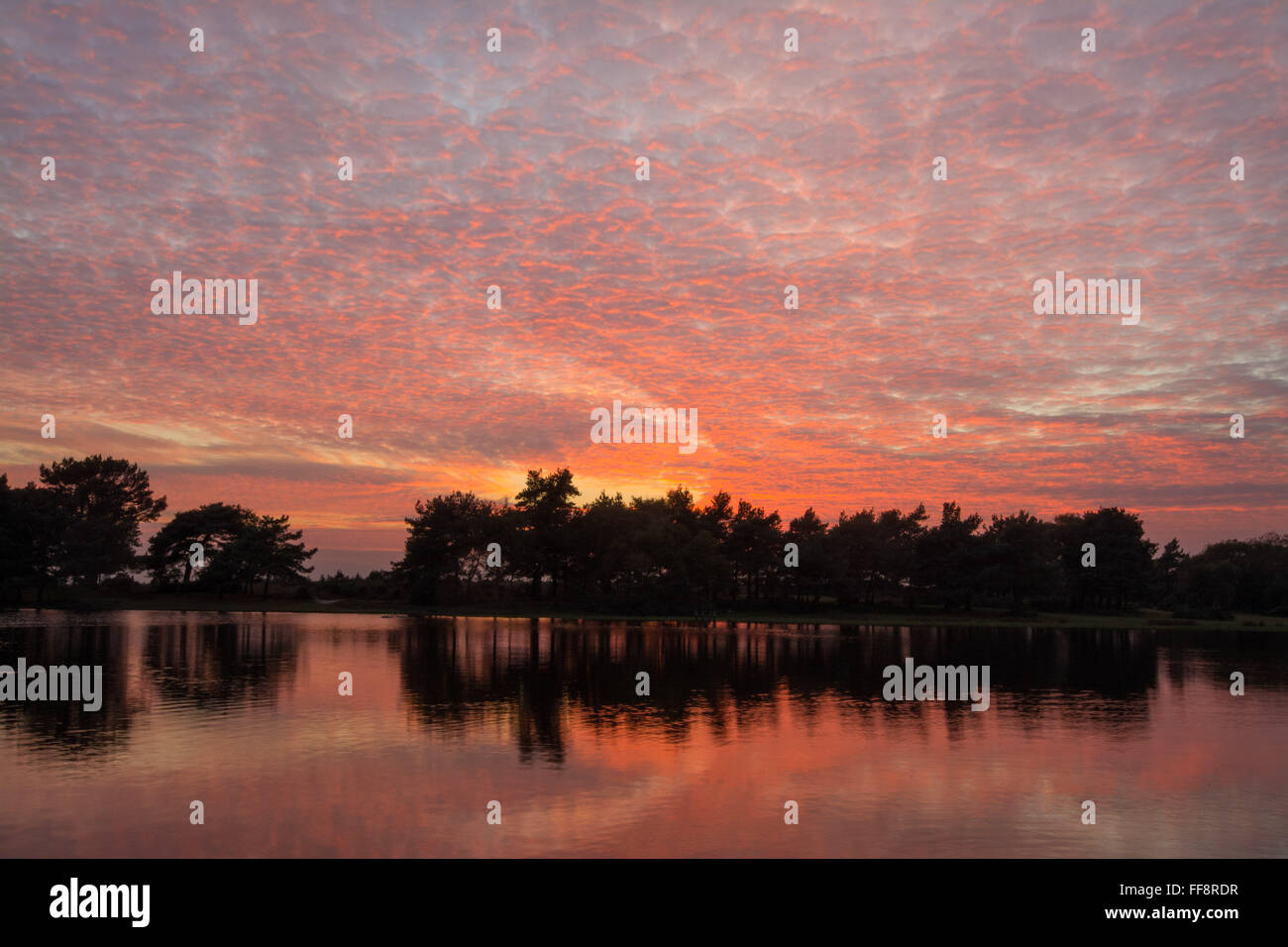 Brightly coloured sunset with mackerel sky and reflections at Hatchet Pond near Beaulieu in the New Forest, Hampshire, England, UK Stock Photo