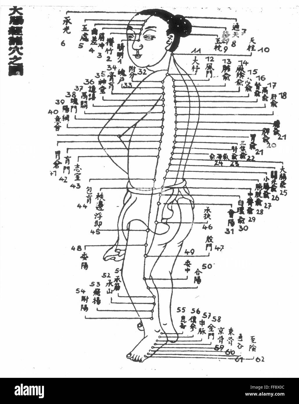 CHINESE ACUPUNCTURE. /nChinese acupuncture chart showing the urinary