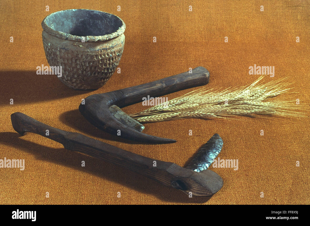 NEOLITHIC SICKLES, c3000 B.C. /nNeolithic flint sickles (in modern handles) and pottery bowl from Thames, England, c3000 B.C. Stock Photo