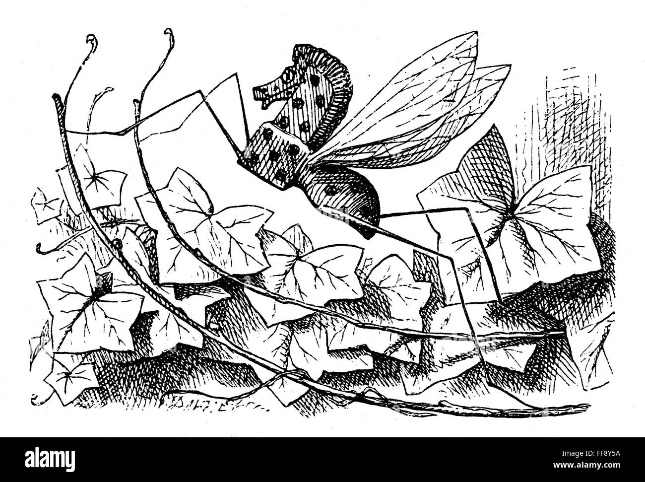 CARROLL: LOOKING GLASS. /nThe Rocking-horse-fly, one of the glass ...