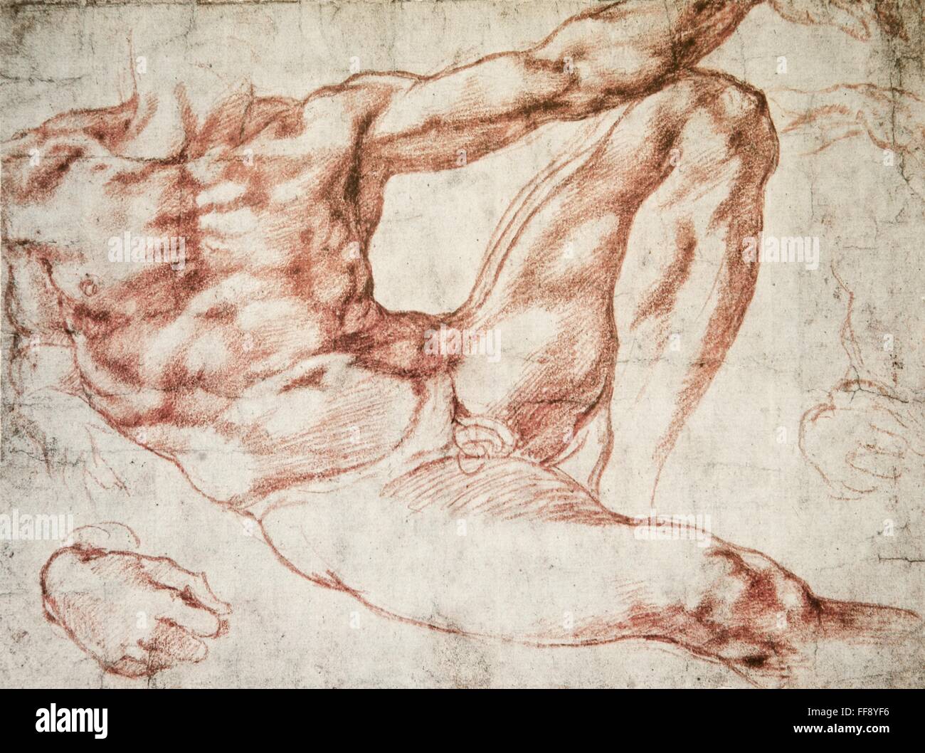Michelangelo's Study for Adam in The Creation of Adam Stock Photo - Alamy
