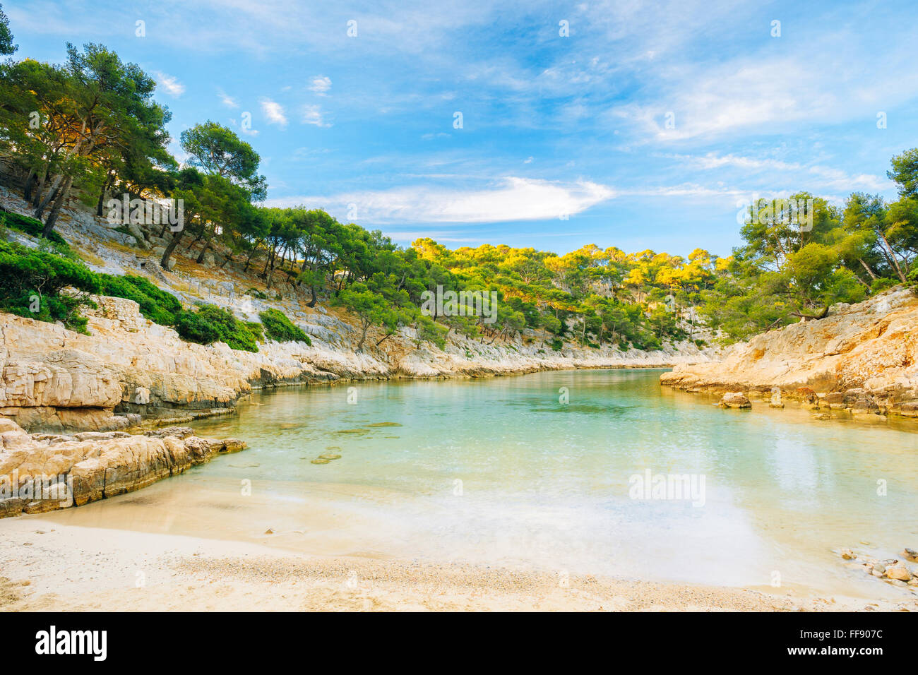 Beautiful nature of Calanques on the azure coast of France. Coast "De Port  Pin" near Cassis in South France. Bay, pine forest Stock Photo - Alamy