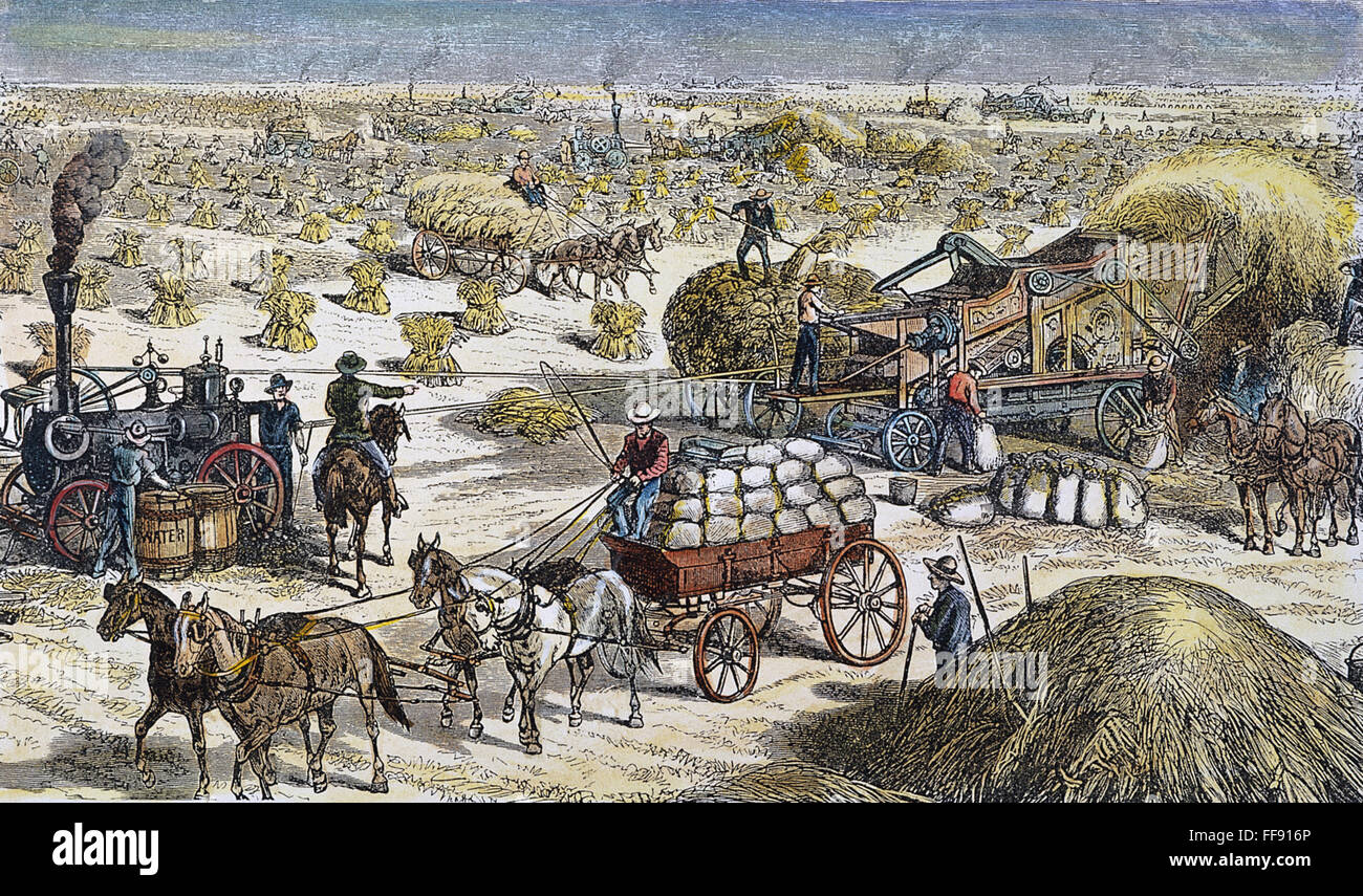 WHEAT THRESHER, 1878. /nA steam-powered wheat thresher on the Dalrymple