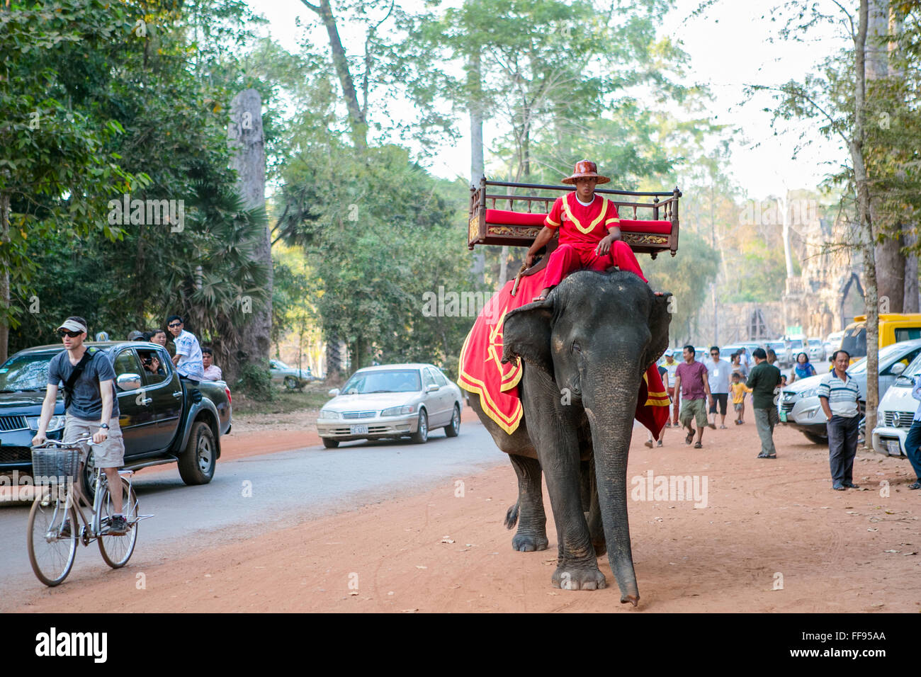 Elephant walking in the street in Siem Reap Stock Photo