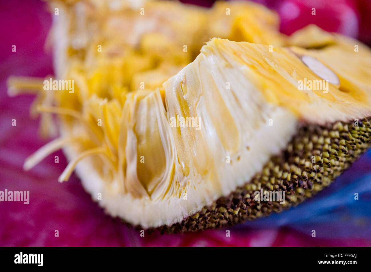 Fresh Jack fruit, exotic fruit from Southeast Asia Stock Photo