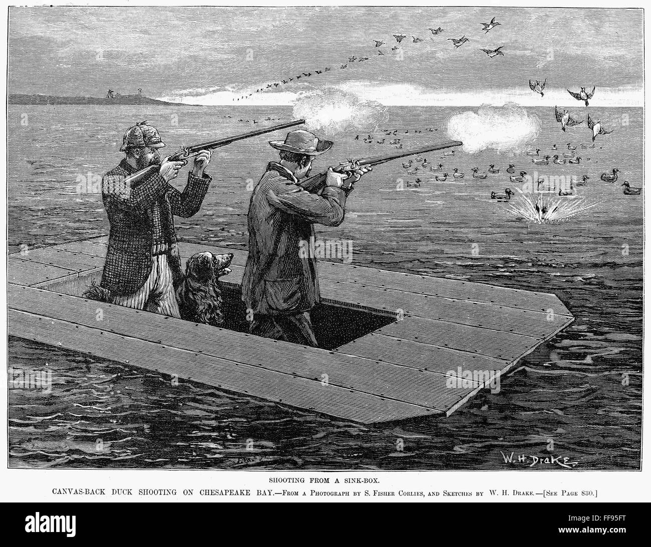 DUCK HUNTING, 1888. /nCanvasback duck shooting on Chesapeake Bay. Line engraving, American
