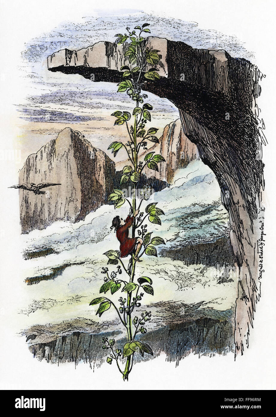 JACK AND THE BEANSTALK. /nJack climbing the bean stalk. Etching, 1854