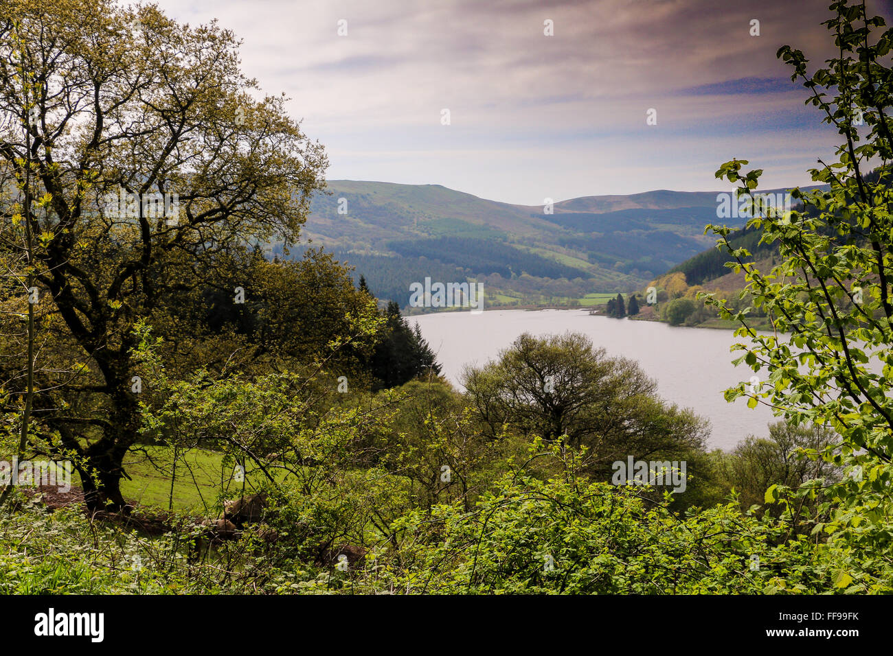 View of Talybont reservoir, Talybont-on-Usk, Powys, Wales, UK Stock Photo