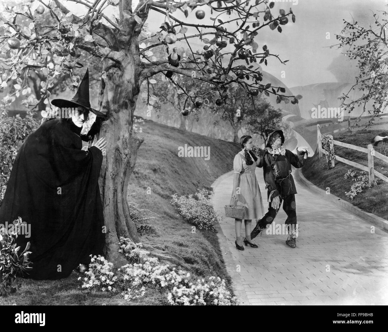 WIZARD OF OZ, 1939./nMargaret Hamilton as the Wicked Witch of the West ...