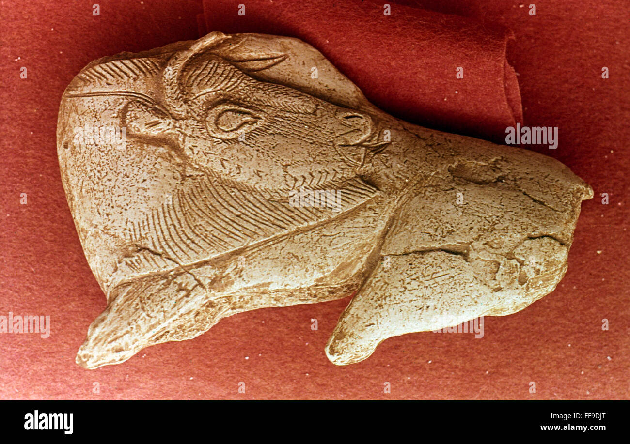 PREHISTORIC BISON CARVING. /nBison with turned head carved from