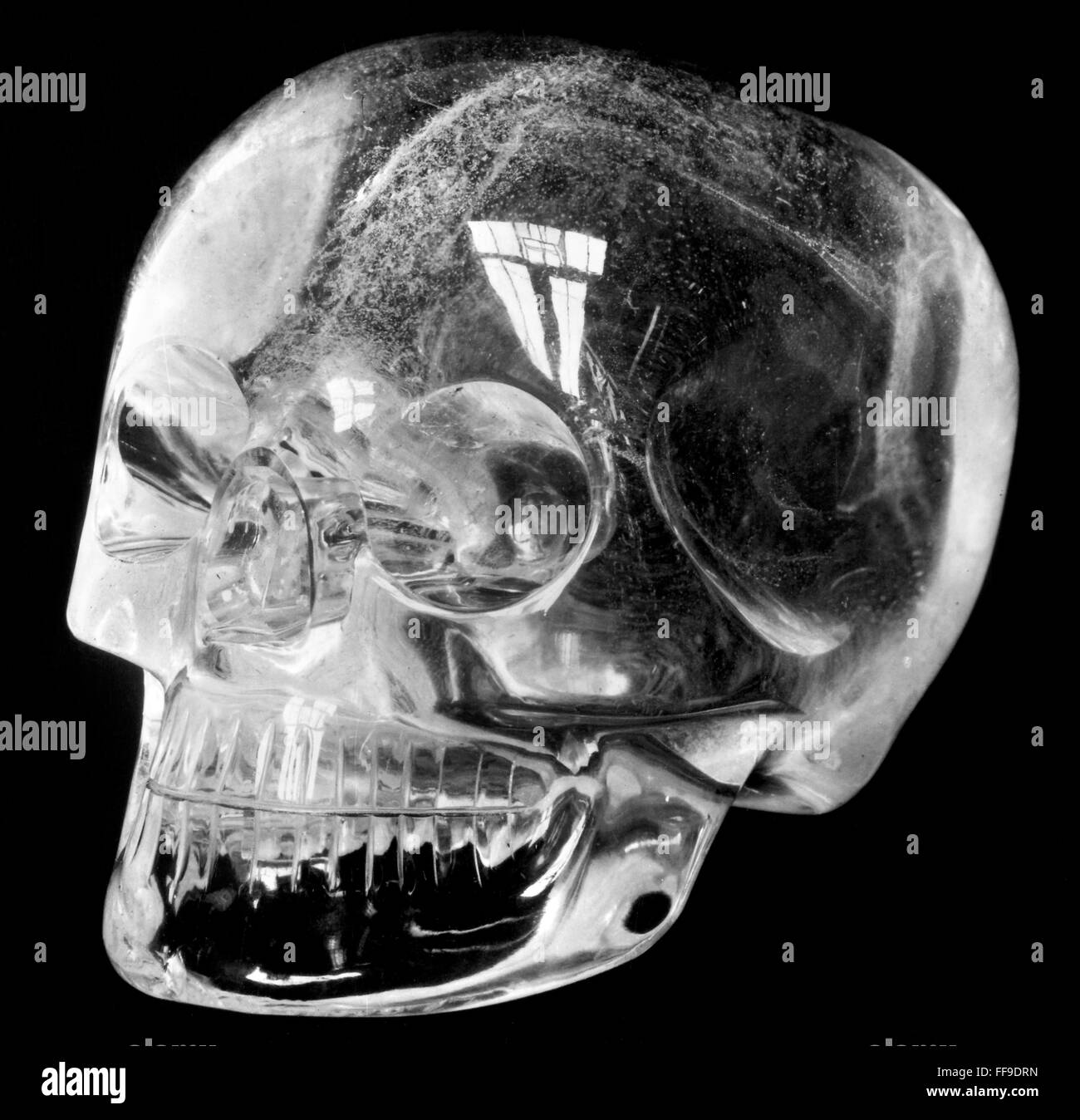 Индиана джонс хрустальный череп. Индиана джонс алмазный череп. Хрустальный череп митчелл-хеджеса. Проклятие хрустального черепа. Хрустальный череп митчелл-хеджеса.